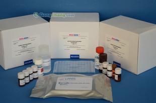 供應呋喃妥因ELISA檢測試劑盒 精細化學品領域的精準檢測利器